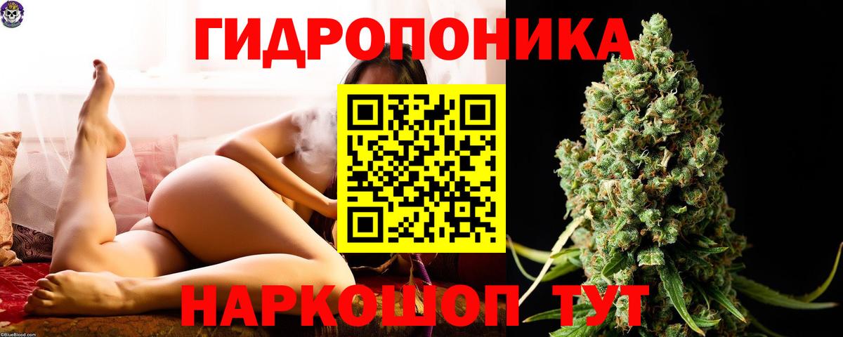 Шишки марихуана VHQ Ростов-на-Дону